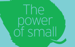 Time to Talk day 4 February 2021 - The Power of Small